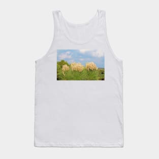 Pampas Grass Tank Top